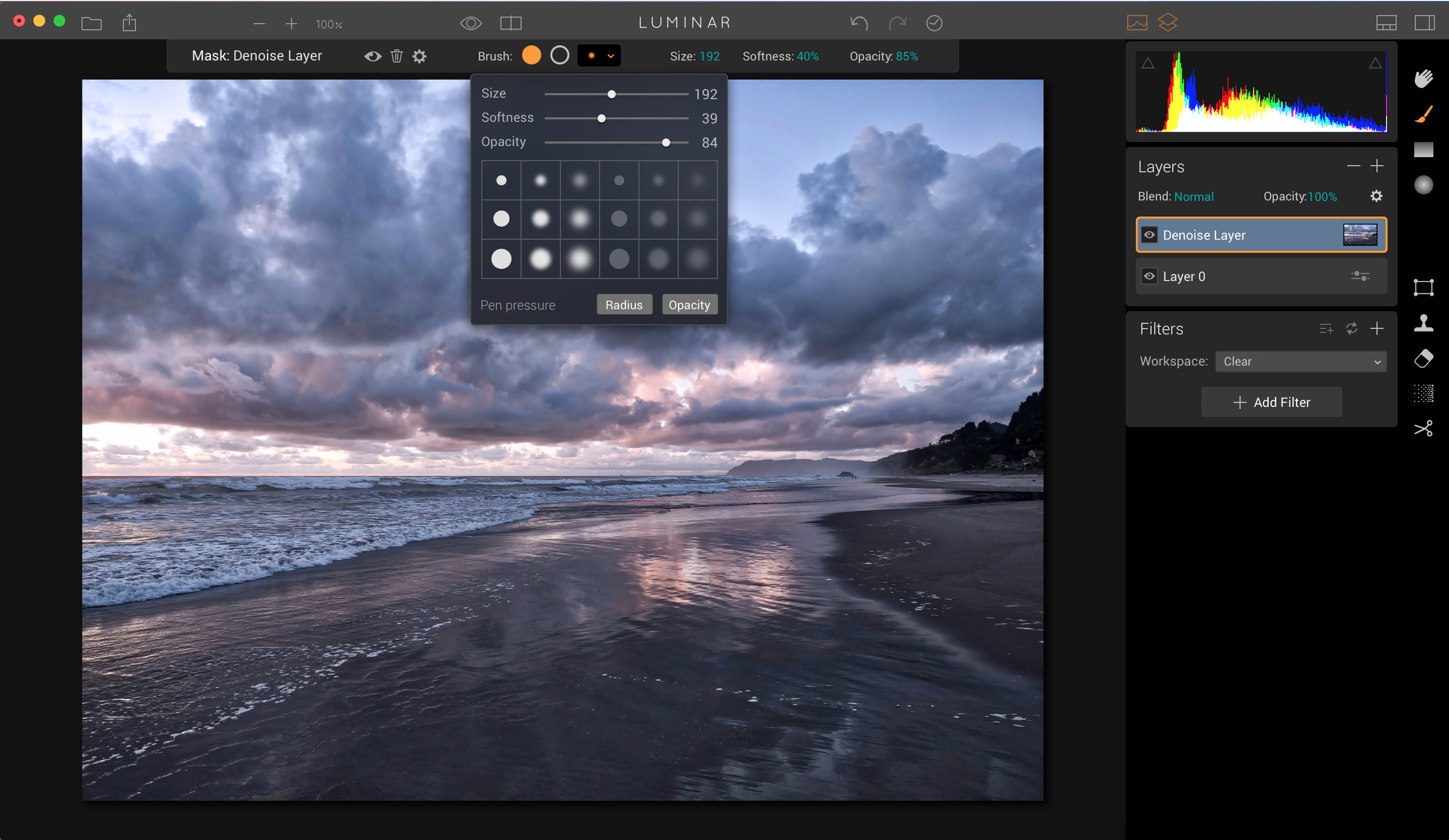 If you want to selectively apply noise reduction: choose your level of noise reduction as per the first screenshot, then once that is applied, select the brush, adjust the size/opacity/softness of the brush, and paint it onto the portion of the photo that needs it.