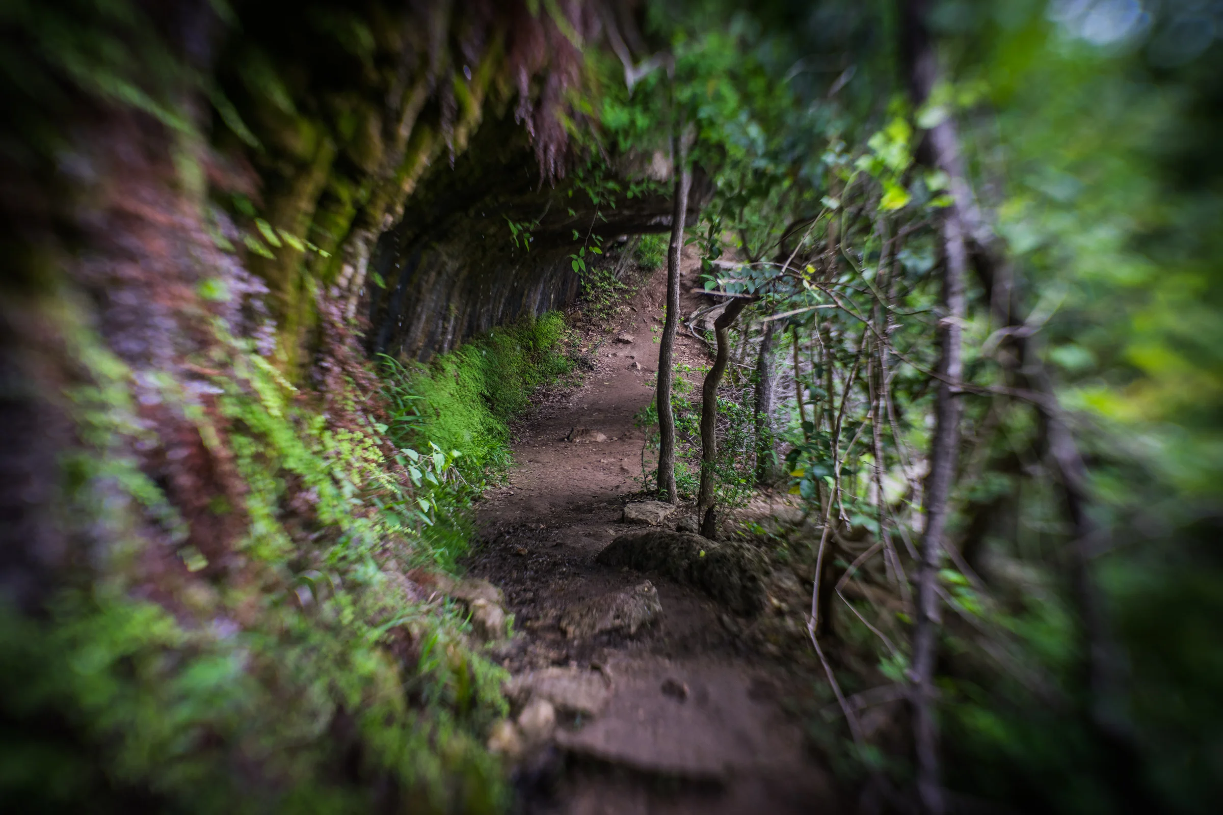 Lensbaby-Sol-1.jpg