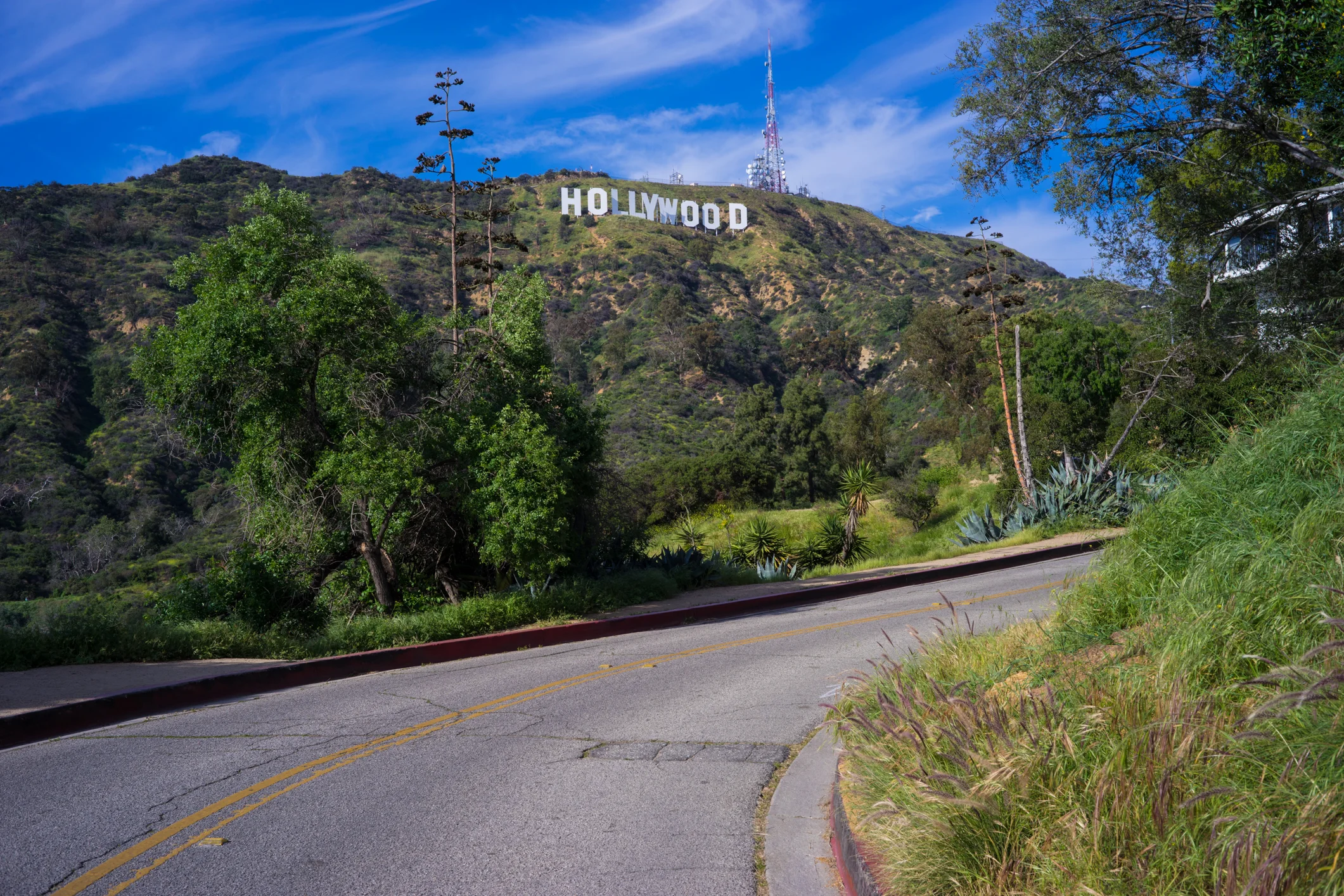 LA-Hollywood-sign-road-shot.jpg
