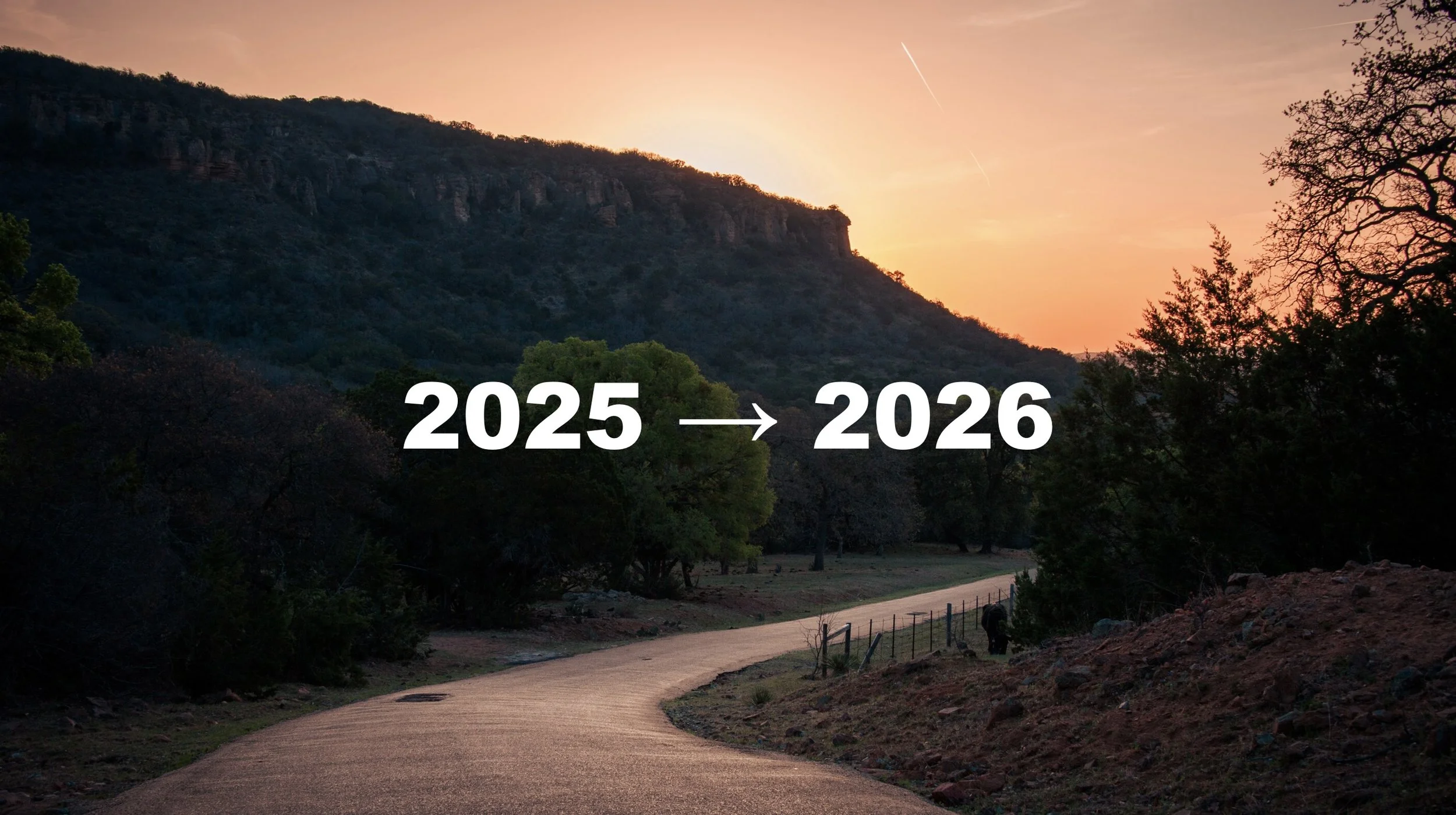 Photography Year in Review: 2025 Results &amp; 2026 Plans