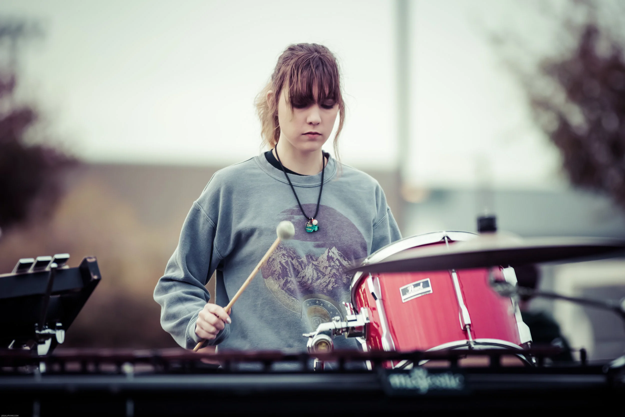 Percussion Focus Show