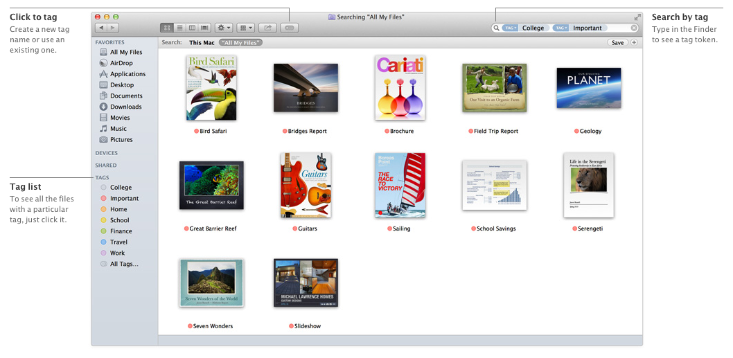 Tags — Apple Inc.