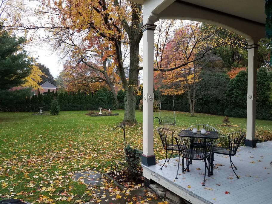 Backyard.jpg