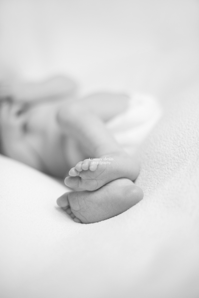 newborn03.jpg