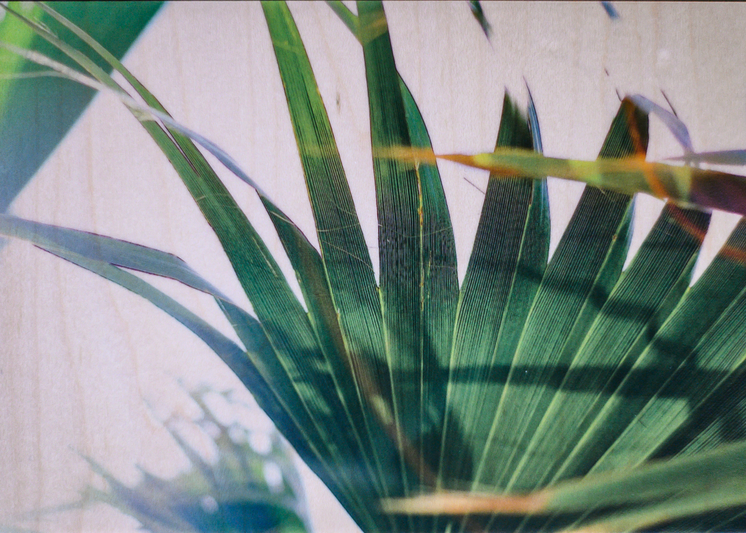 tammydeanphotographywoodprints2.jpg