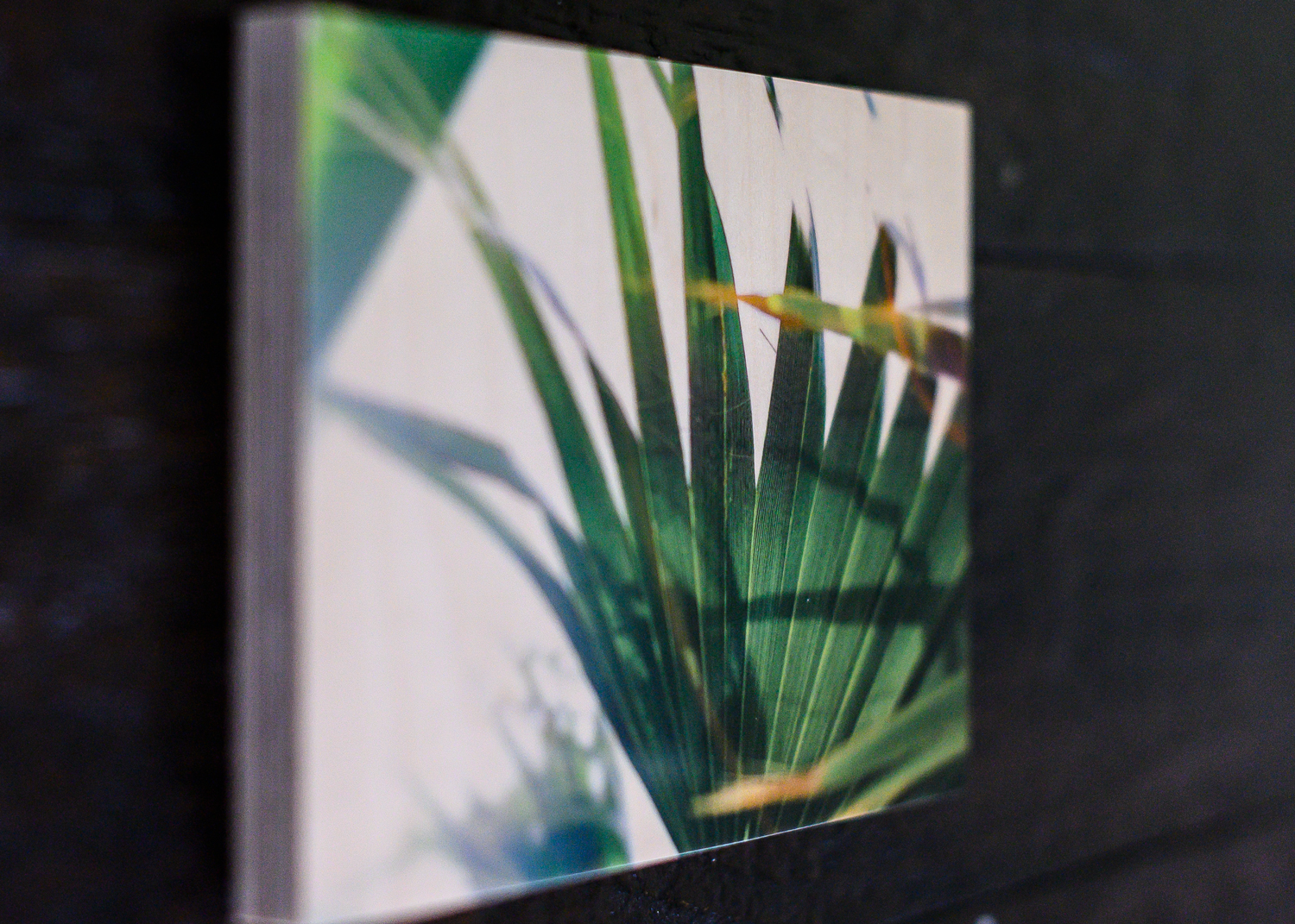 tammydeanphotographywoodprints5.jpg