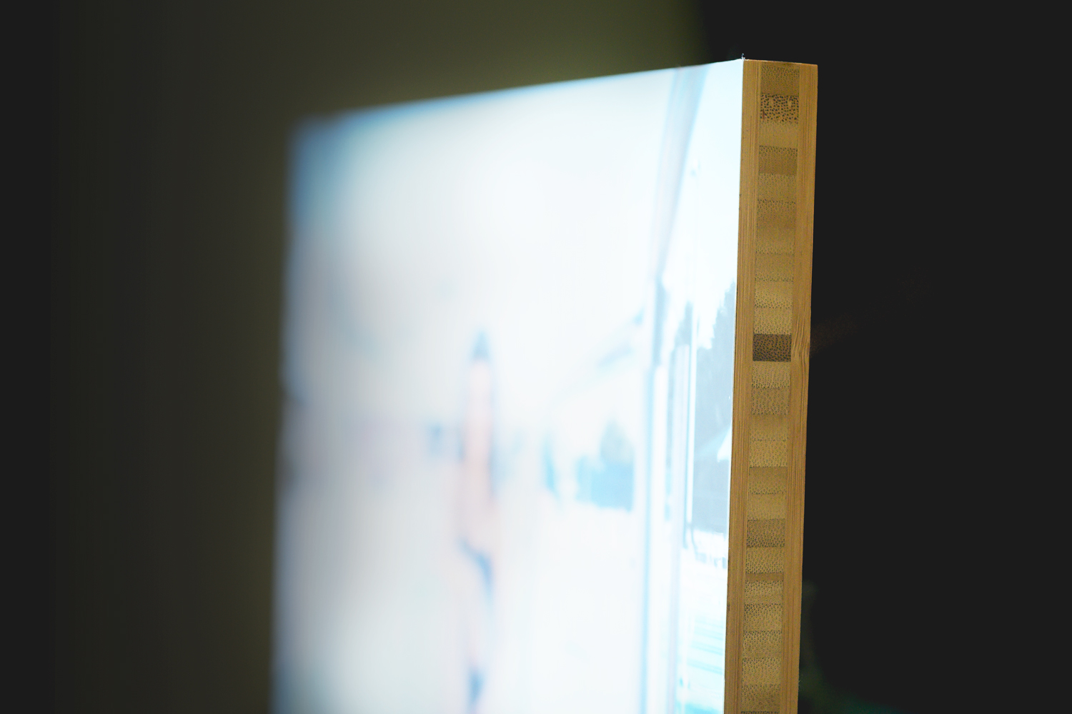 tammydeanphotographybambooprint6.jpg