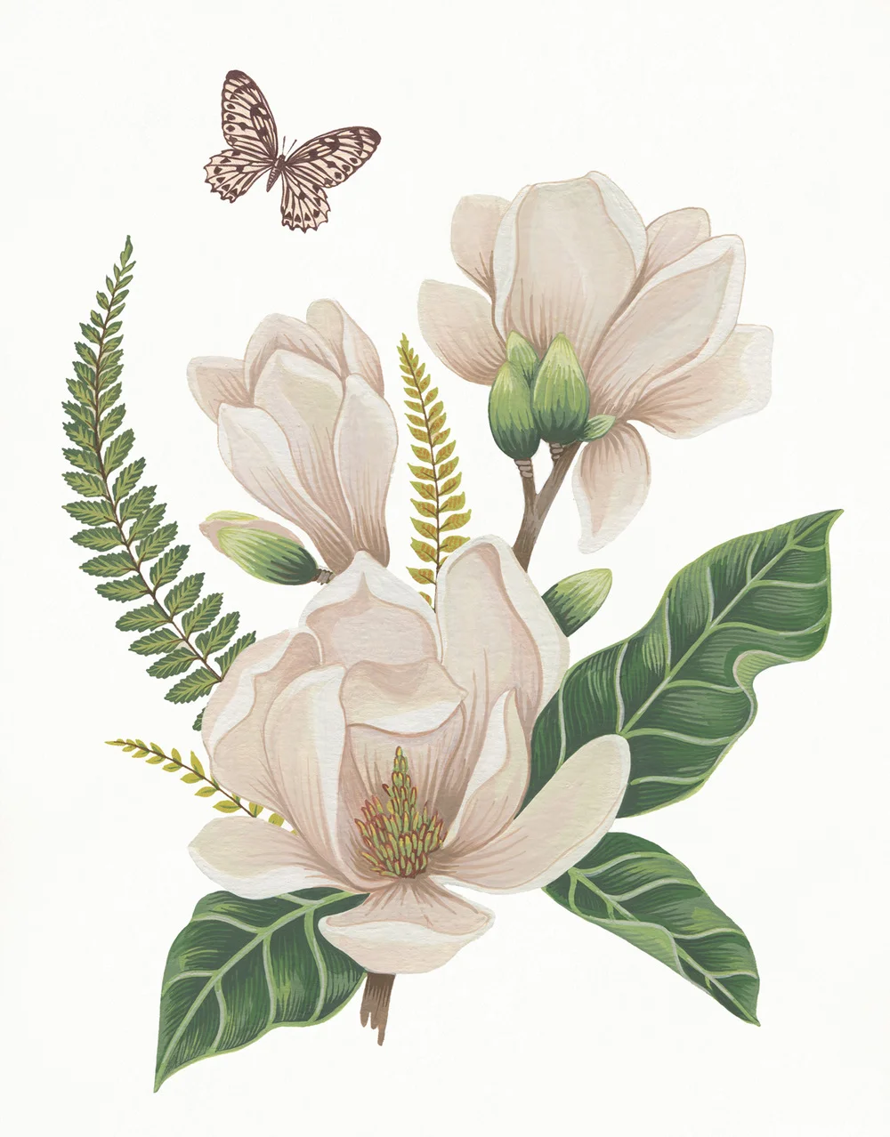 MS_Magnolia.jpg
