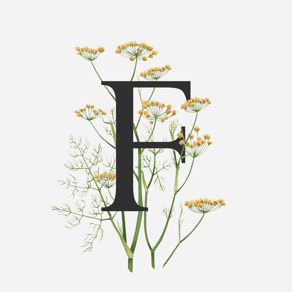 Fennel.png