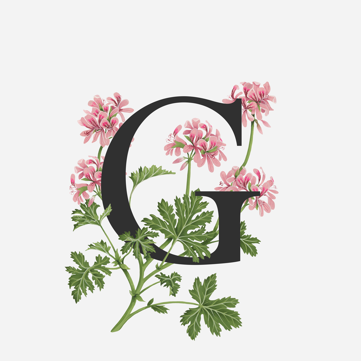 Geranium.png