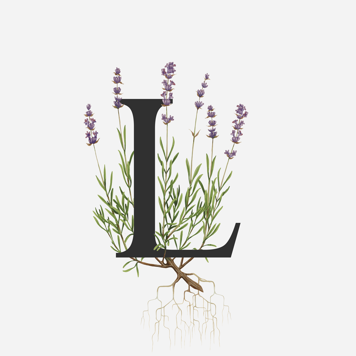 Lavender.png