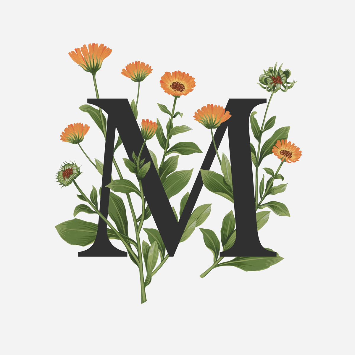 Marigold.png