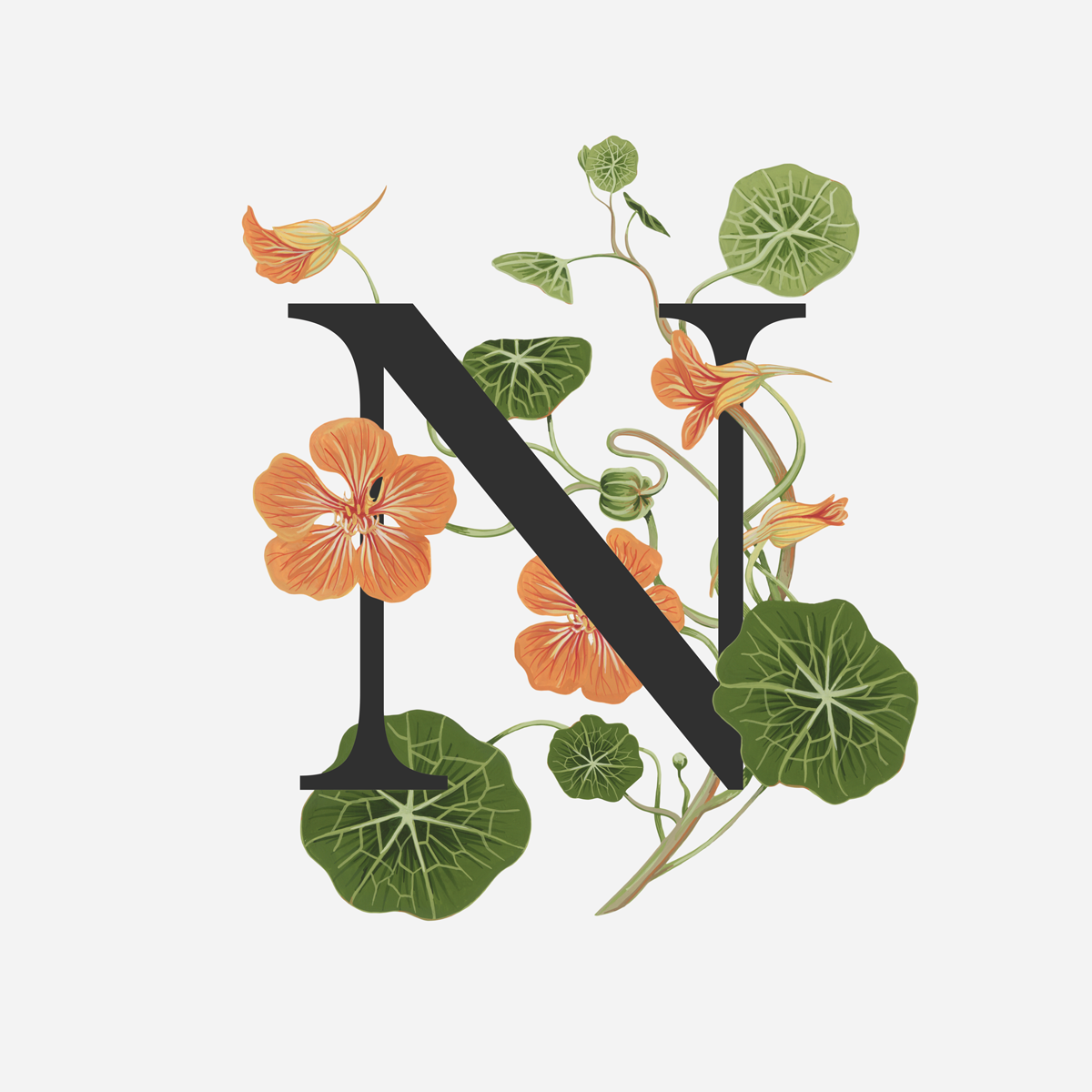 Nasturtium.png