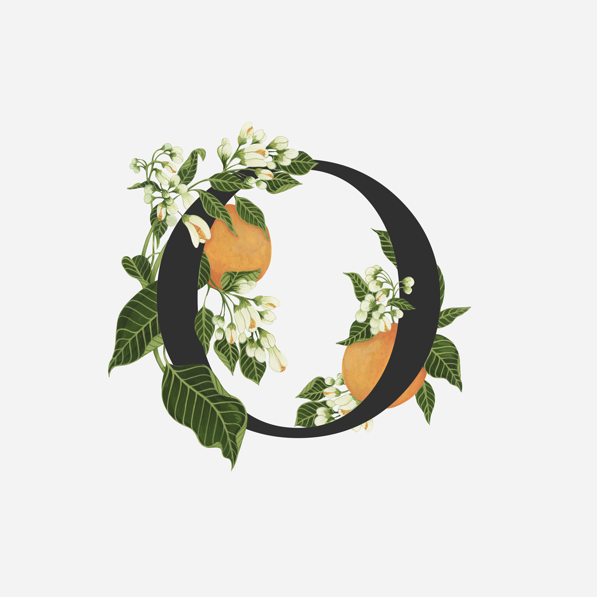 OrangeBlossom.png