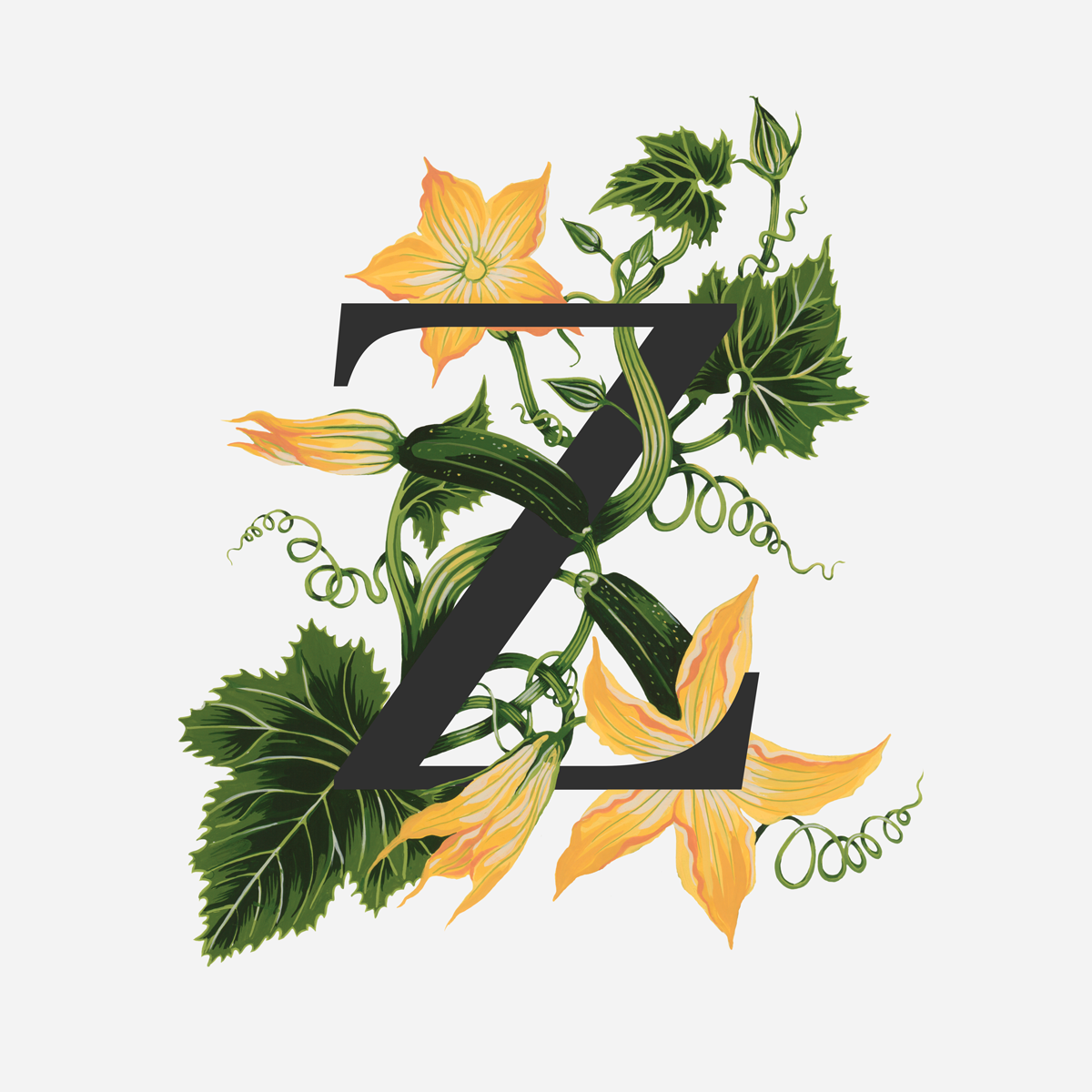 Zucchini.png