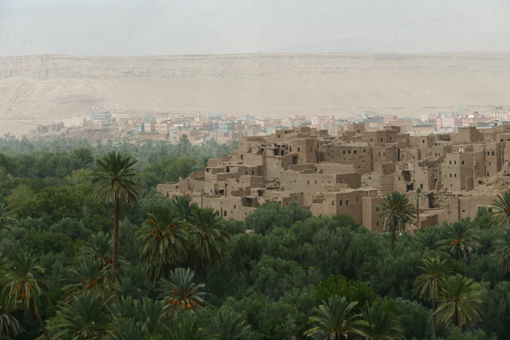 Oasis