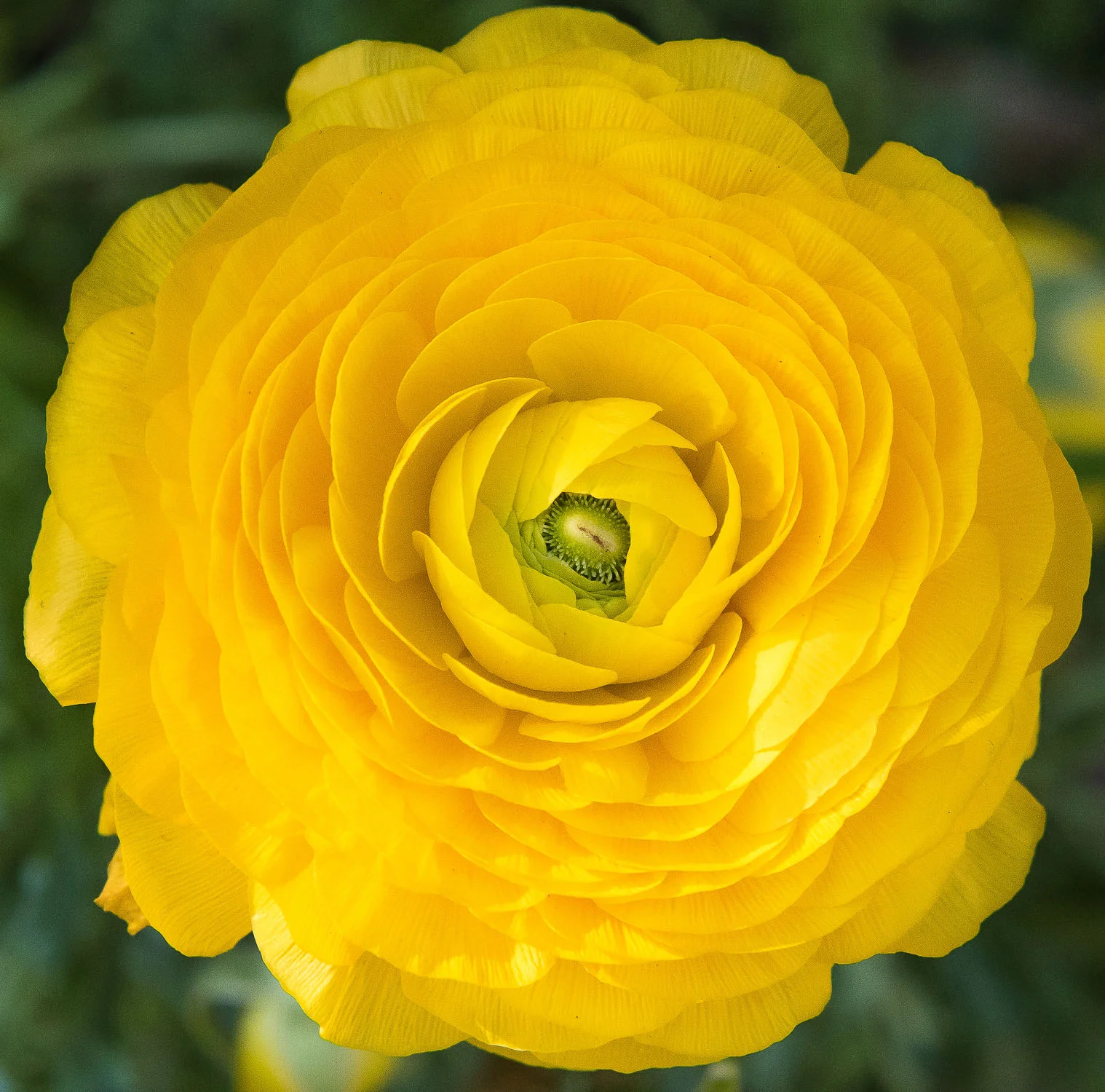 Michael Hunter-1-85.JPG