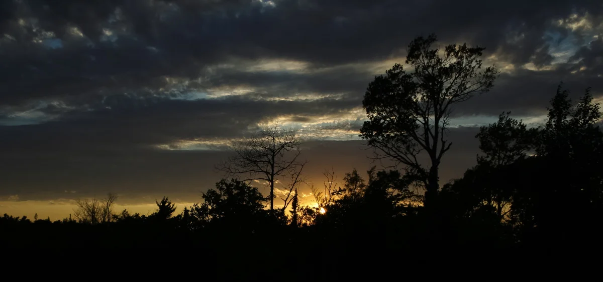 sunset in silhouette.jpg