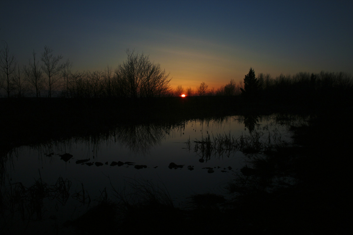 reflections on sunset.jpg