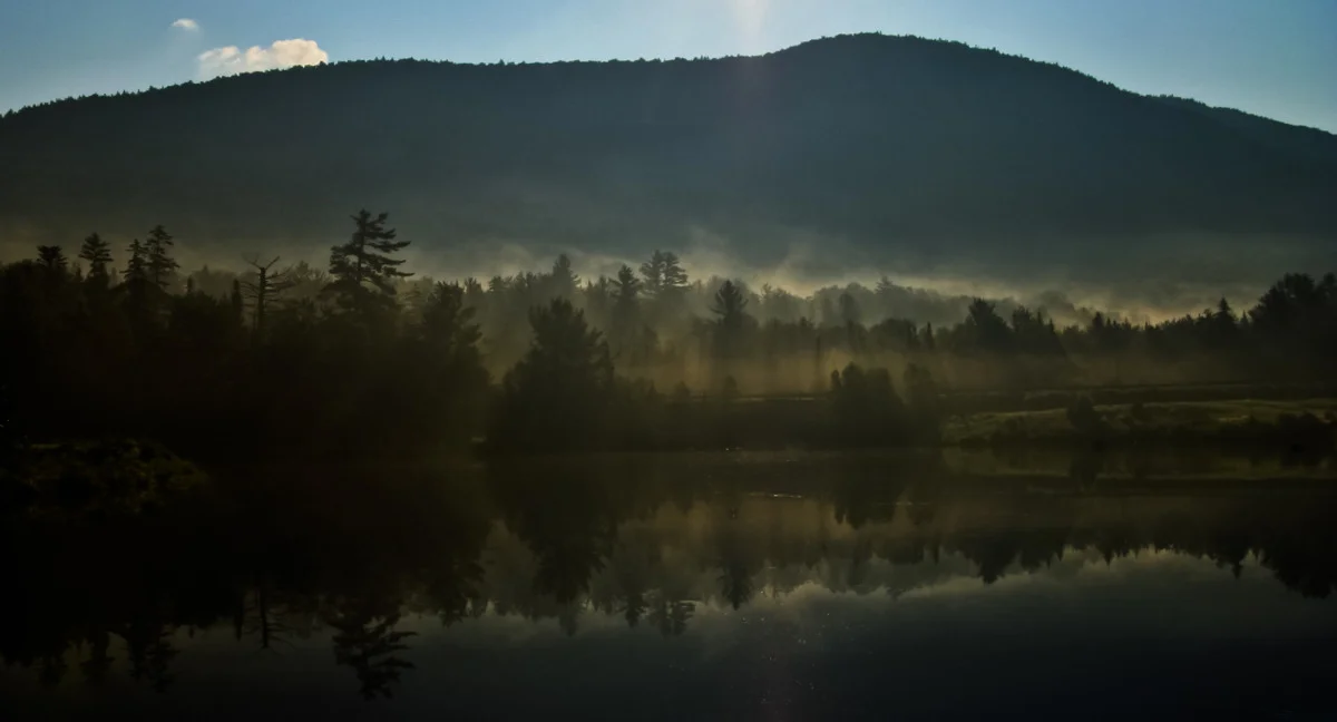 foggy lake sunrise.jpg
