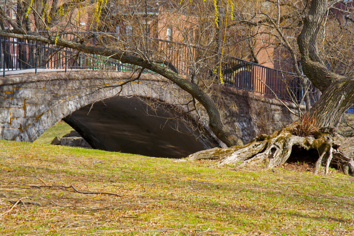 charles footbridge.jpg