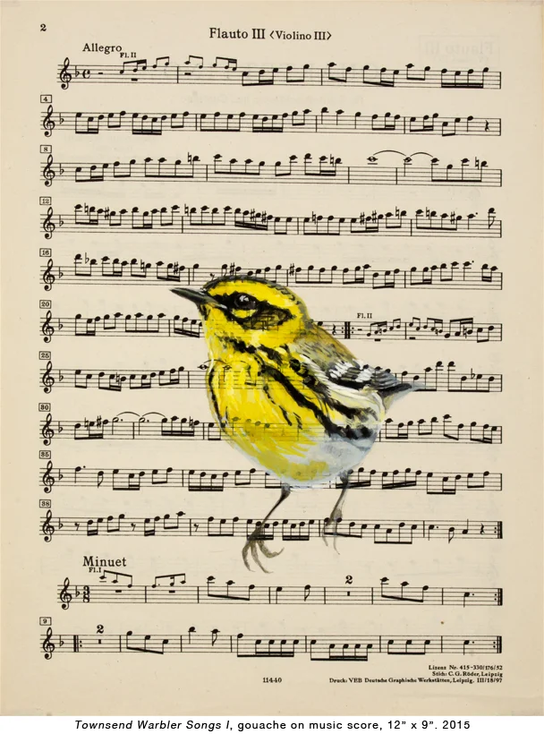 Bird-music-1.jpg