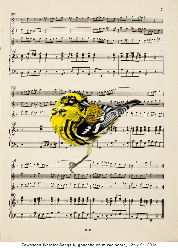 Bird-music-2.jpg