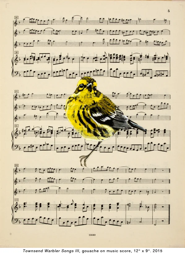 Bird-music-3.jpg