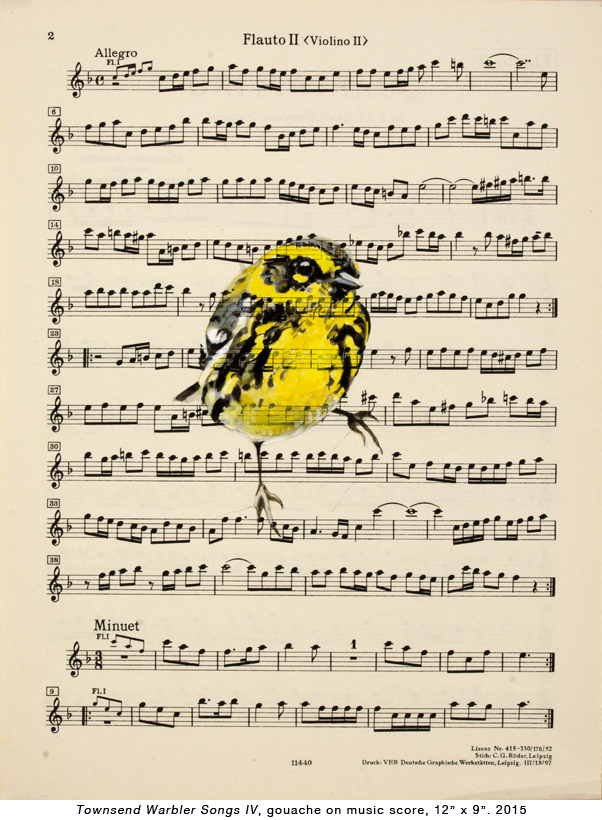 Bird-music-4.jpg