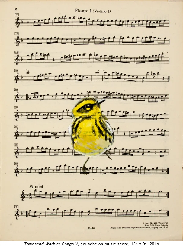 Bird-music-5.jpg