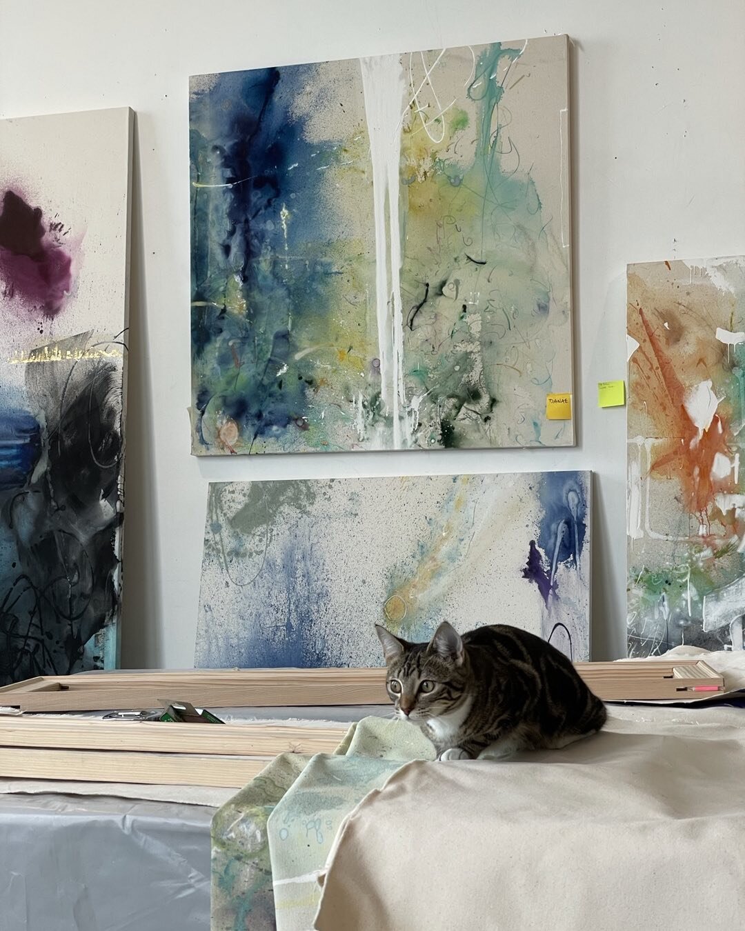 #sfartist #1890BryantStudios #cat #artistatwork #sanfrancisco #2021 series