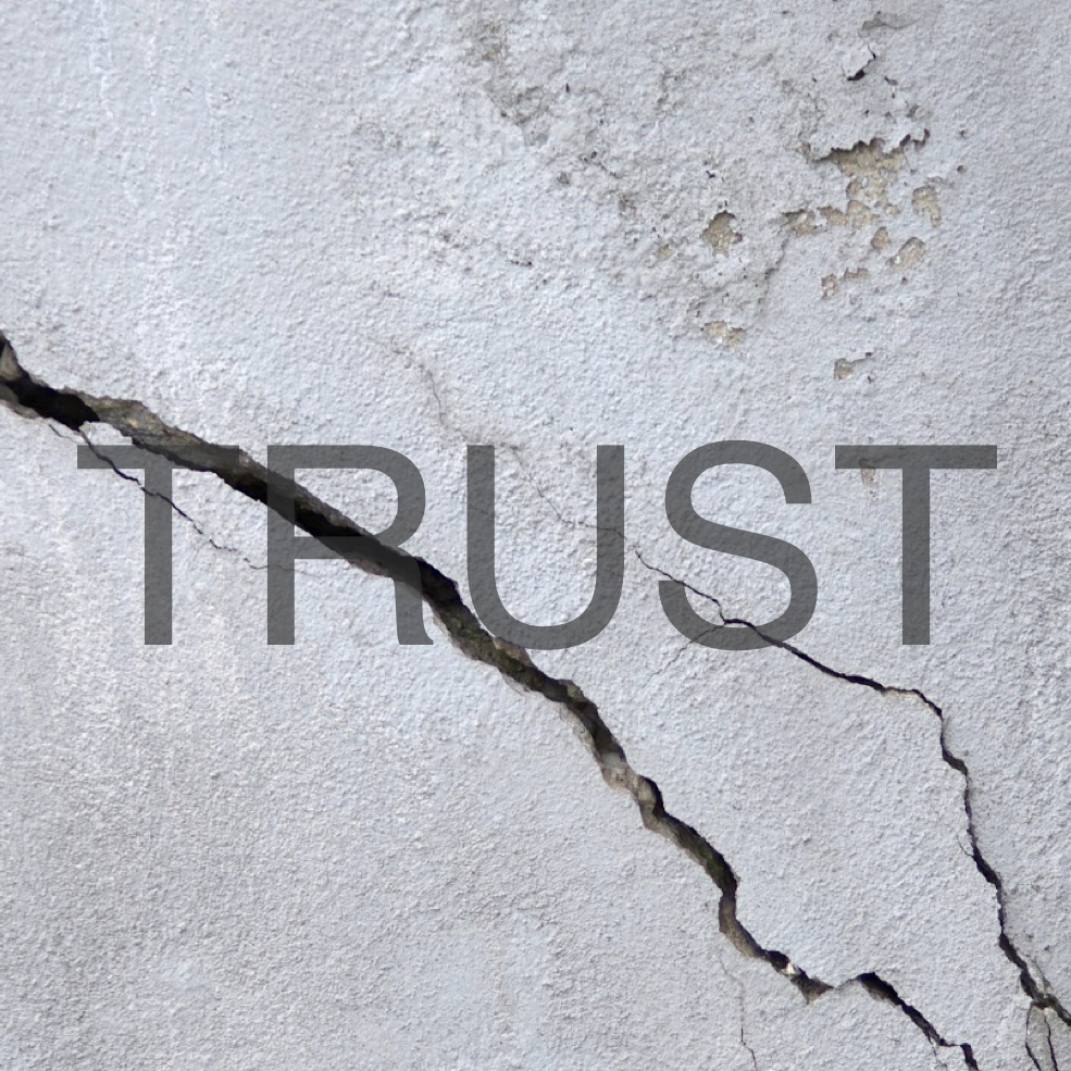trust in ratings & reviews.png