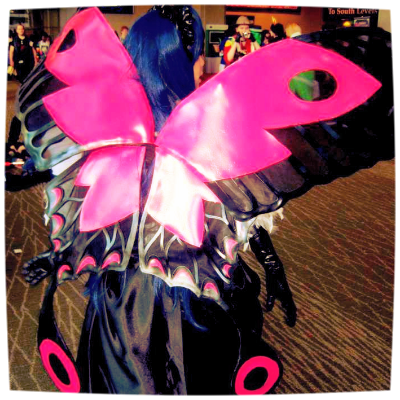 Back of the wingsedit.jpg