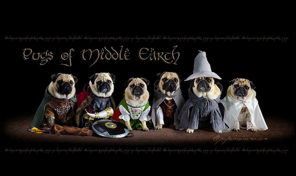 pugs of middle earth.png
