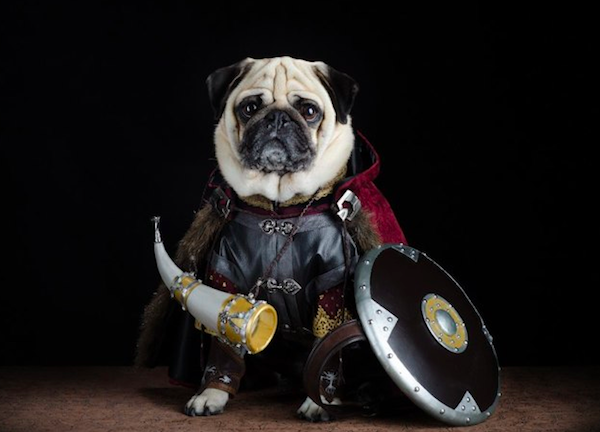 pugs of middle earth 7.png