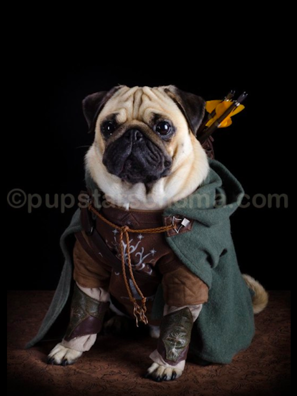 pugs of middle earth 4.png