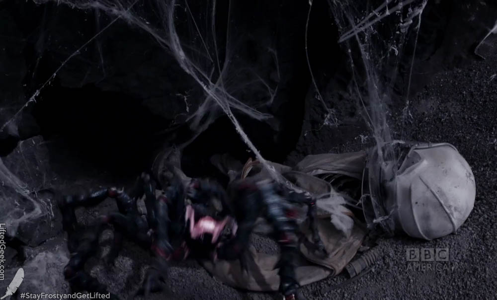 god I hate spiders...
