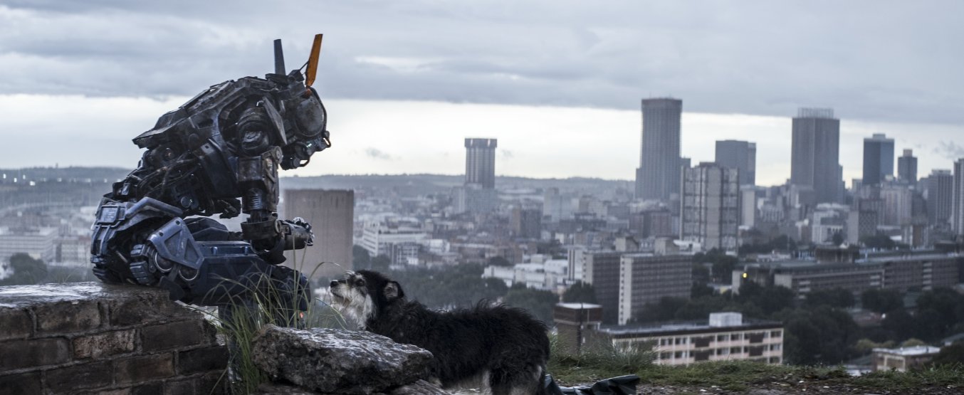 Even Chappie likes puppies...sniff sniff, sob