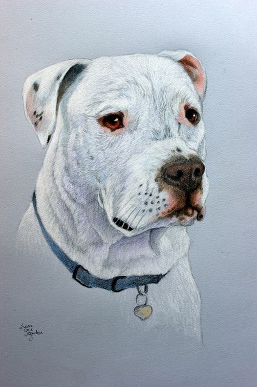 Buster Duff - 2005-2015