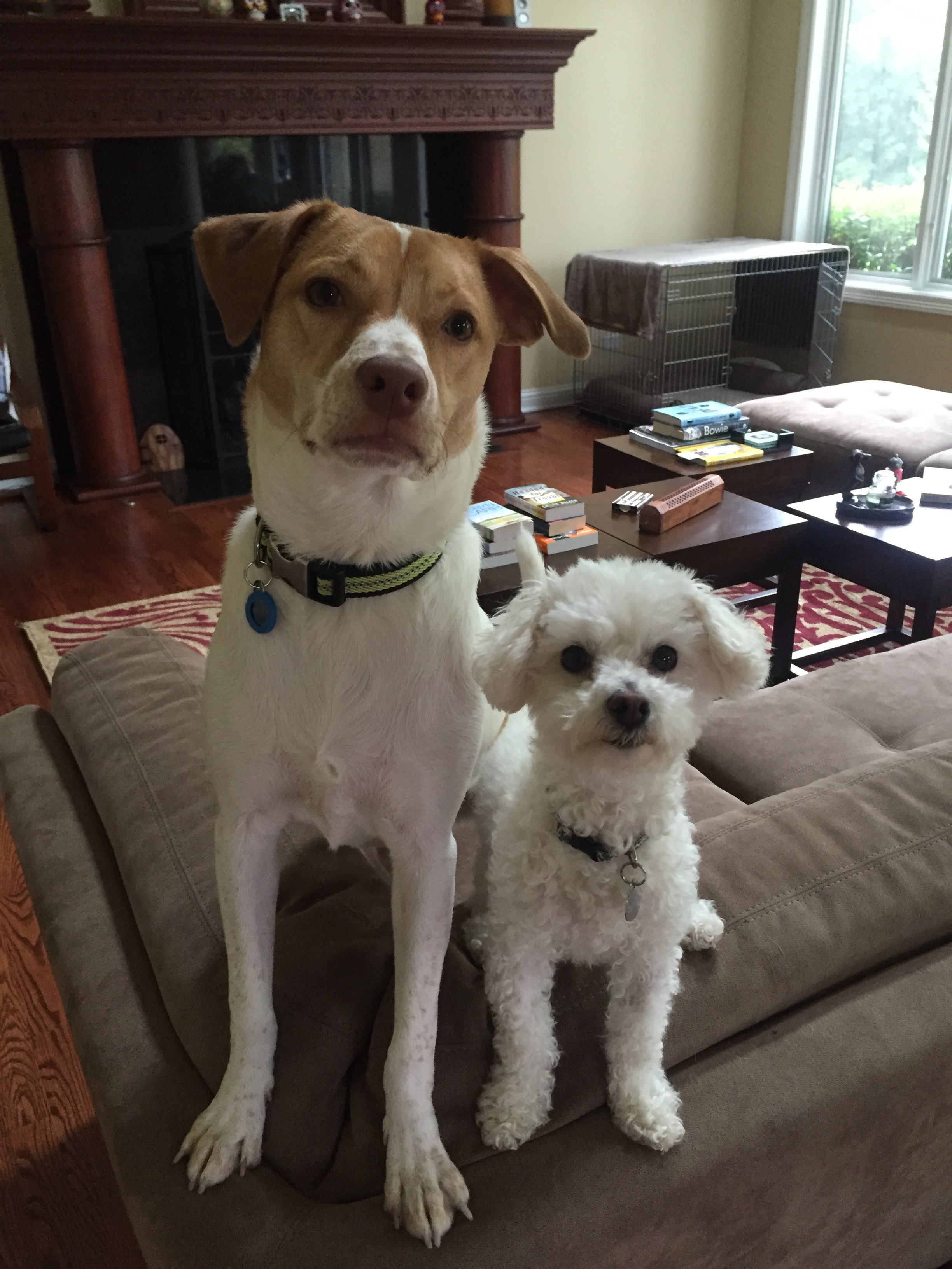 My two "babies"...Wilbur and Stella