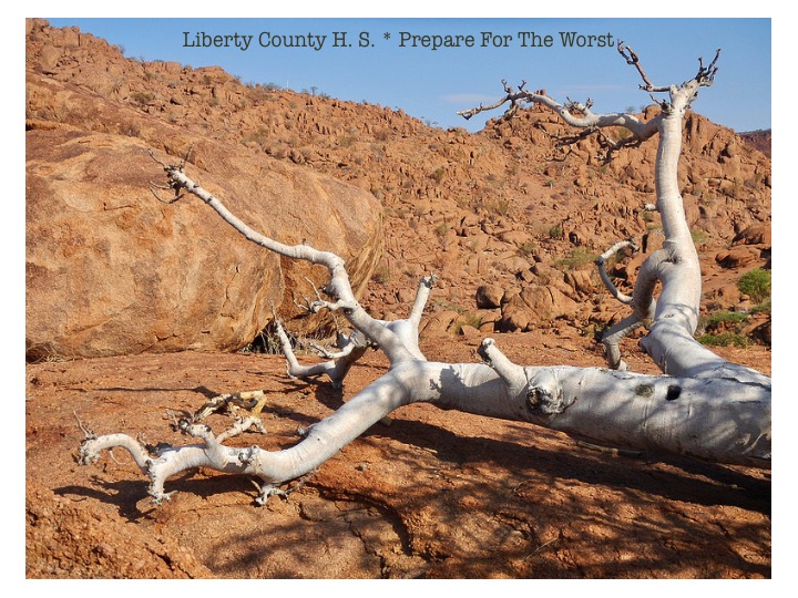 "...a statement for the world we live in from the darling's of liberty county is spot on..."