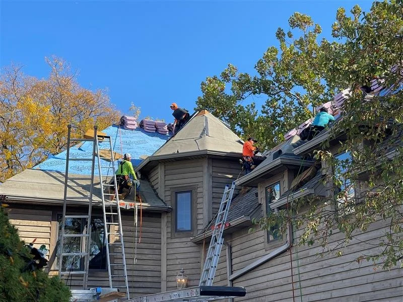 Image - 2024-12-30T105028.257.jpg