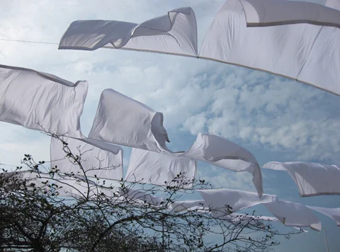 artprizeweb008.jpg