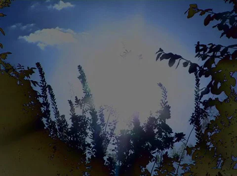Blue+Green001.jpg