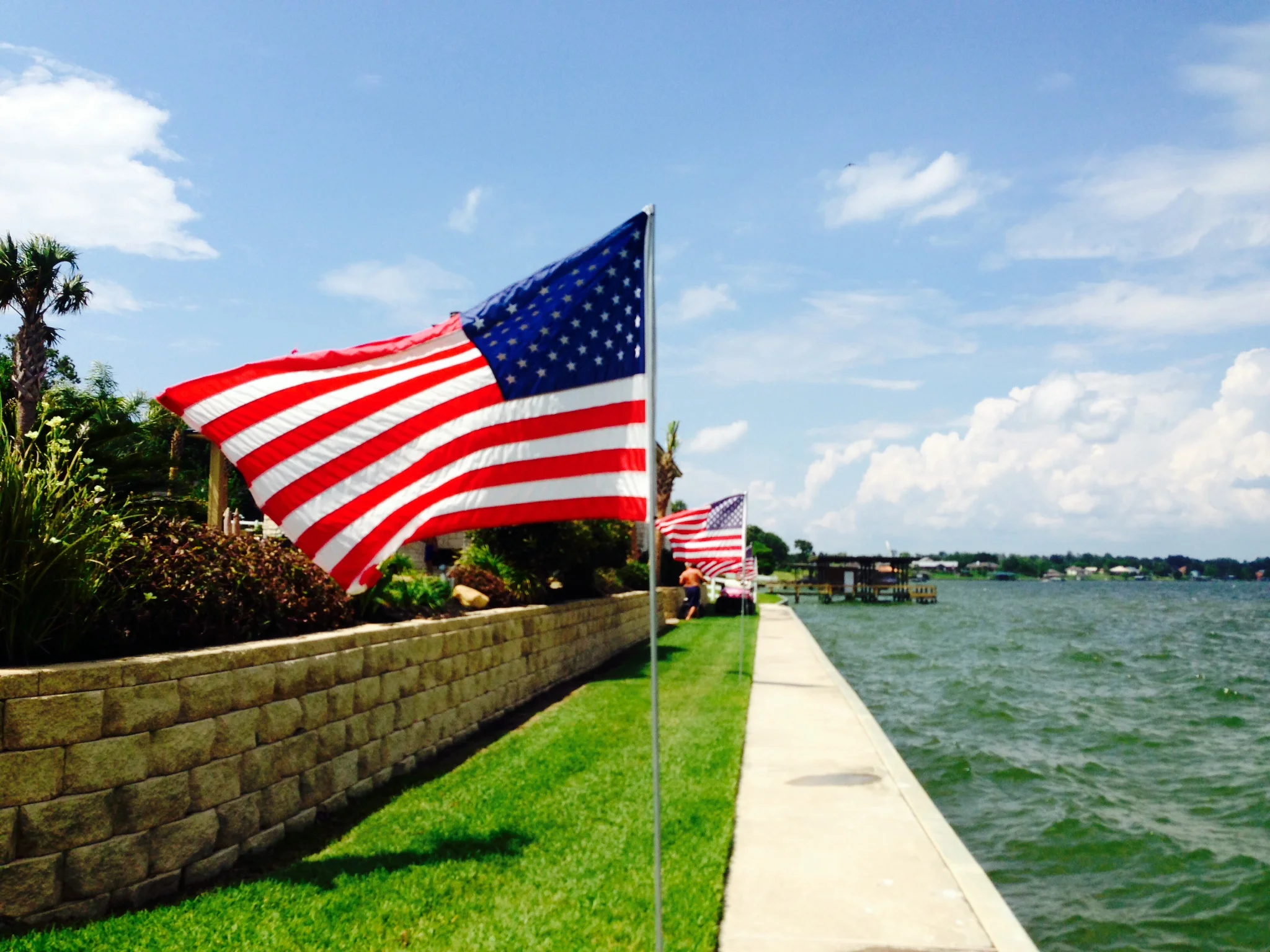 #LIFE: FREEDOM FIGHT