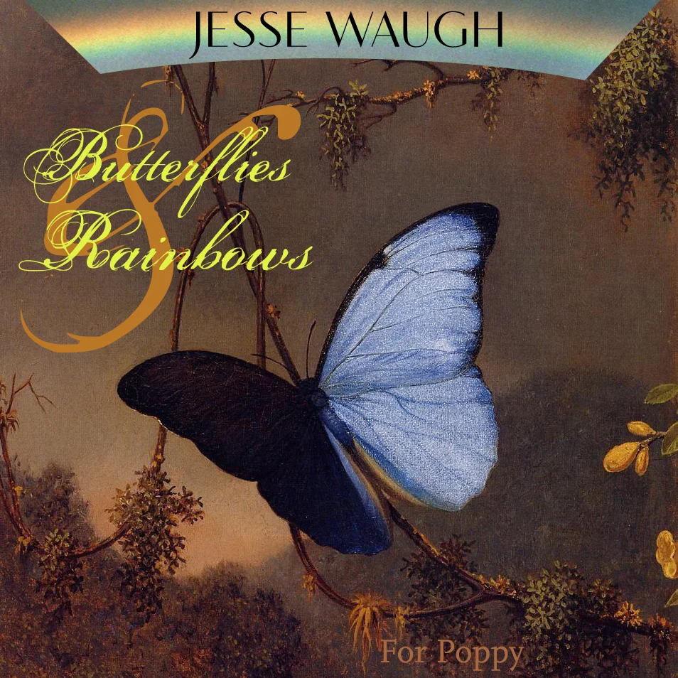 Butterflies & Rainbows by Jesse Waugh