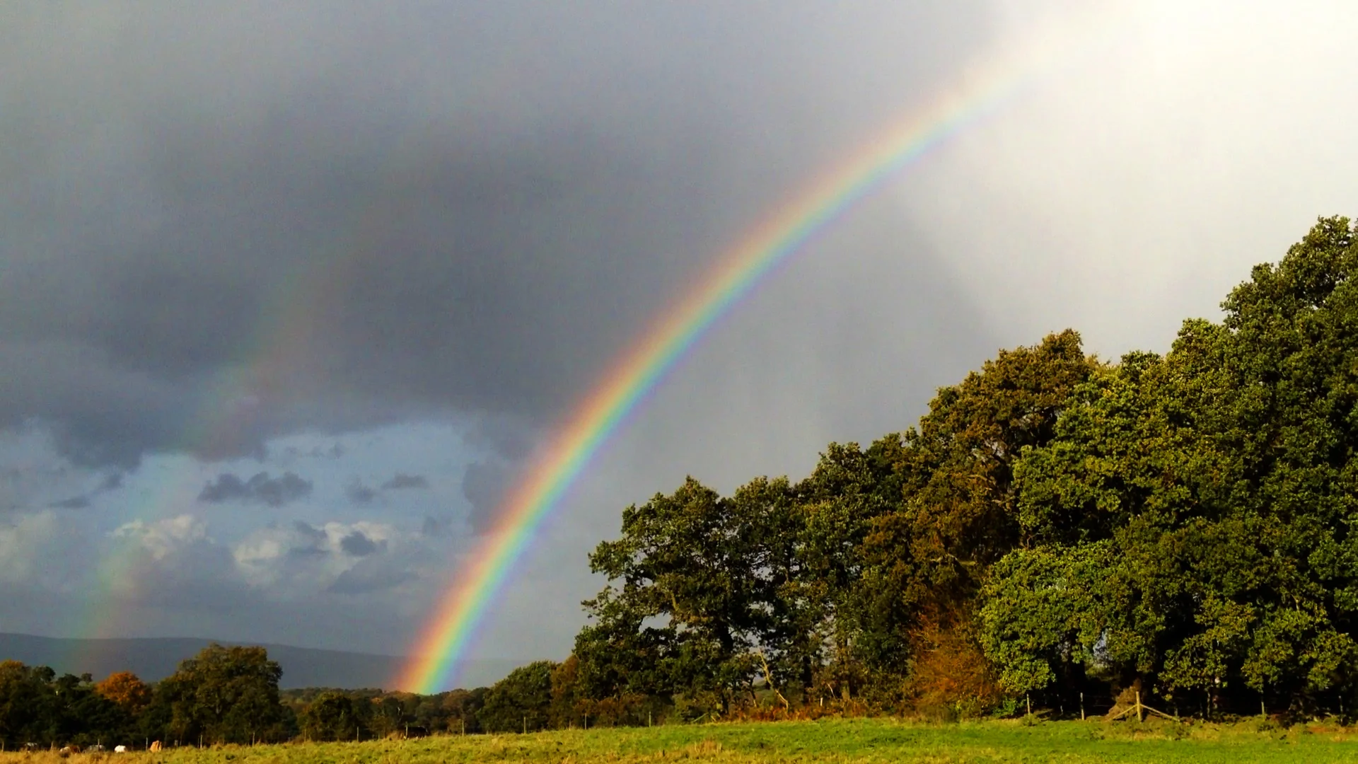 RAINBOW by Jesse Waugh