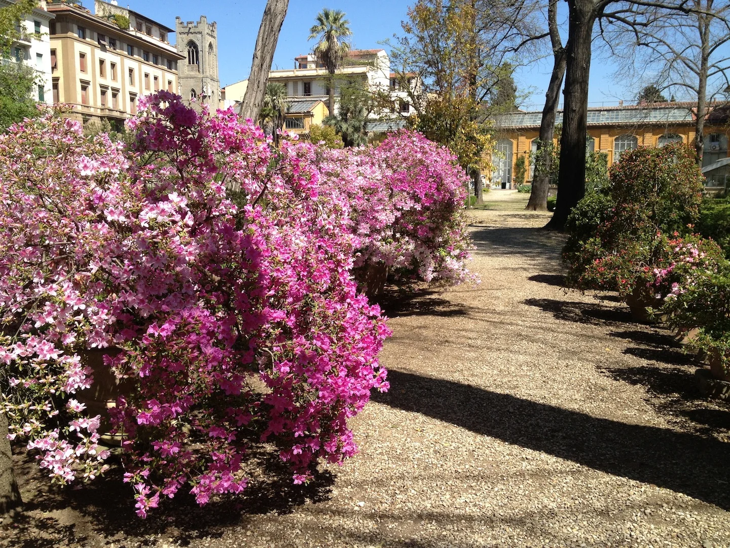 Worlds-Oldest-Botanical-Garden-Firenze-Florence-Italy-jessewaugh.com-32.jpg