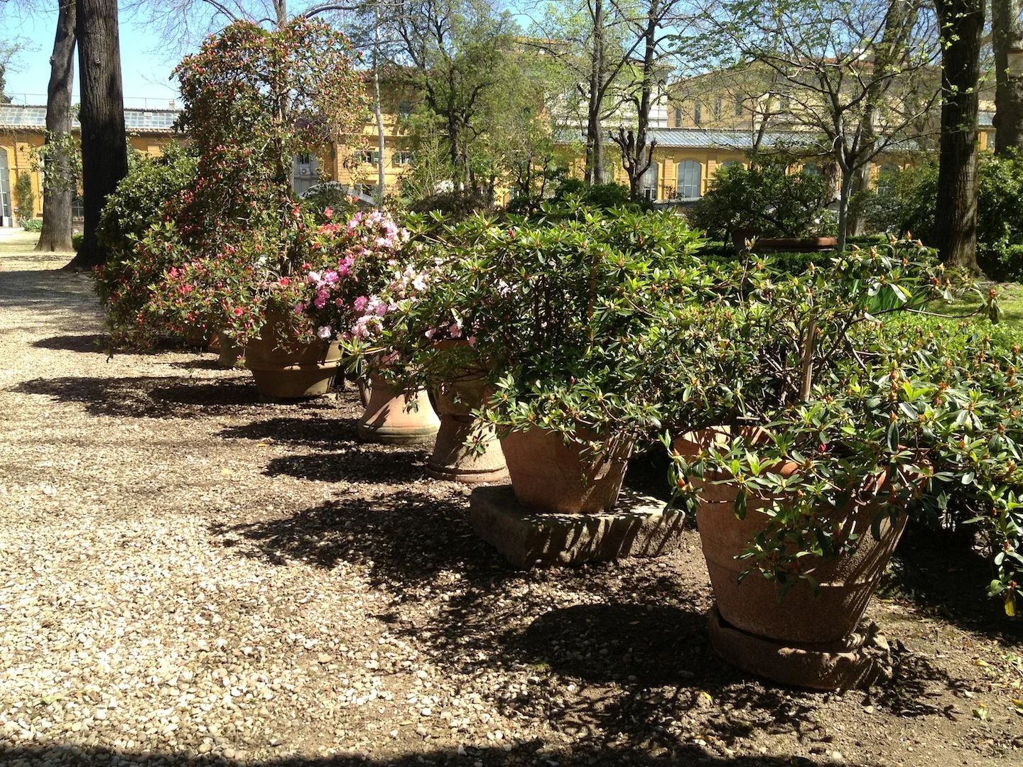 Worlds-Oldest-Botanical-Garden-Firenze-Florence-Italy-jessewaugh.com-34.jpg