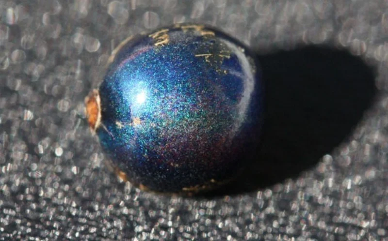 Pollia-condensata-marble-berries-berry-jessewaugh.com-2.jpg